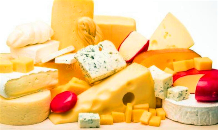 乳酪是什么